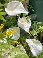 Fleur artificielle Calla Lily au toucher réel de qualité supérieure, bouquet de mariée, accessoires de décoration florale artificielle haut de gamme pour la maison