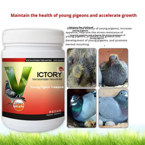 <strong>Pigeon</strong> Racing <strong>Supplement</strong> 600 Pills Per Bottle Promote Growth &amp; Enhance Vitality for <strong>Pigeon</strong> Nutrition - Product Image 4