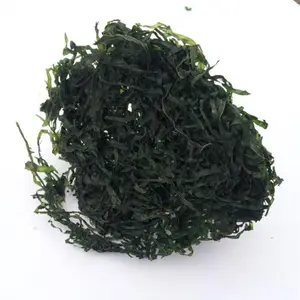 Kahverengi yosun Laminaria Japonica şeritler/makine kurutulmuş deniz Kelp dilim satılık
