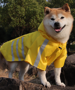 Imperméable pour chien, <span class=keywords><strong>cape</strong></span> imperméable pour animaux de compagnie avec bandes réfléchissantes pour les sorties par temps de <span class=keywords><strong>pluie</strong></span>, poncho à capuche pour chiot, été - Product Image 2