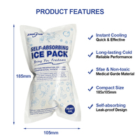 Herbruikbare zelfabsorberende icepack voor medische koudeketen, platte watergeactiveerde koelpack voor vis, vlees, fruit en groenten