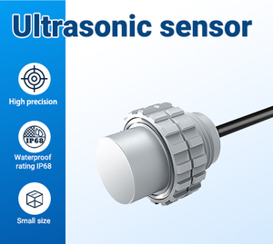Sensor Jarak Ultrasonik Bawah Air DYP-L08 RS485 UART Kontrol IP68 Ukuran Kecil Sinar Sempit untuk Robot Kolam Renang Bawah Air - Product Image 3