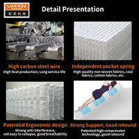 Unité de ressort de poche à haute compression pour meubles de bobine de rouleau d'acier de canapé faisant la boîte individuelle de matelas en mousse enroulable Durable