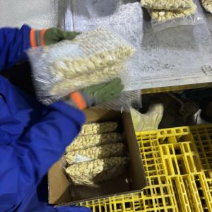 3 Lbs/torbada soyulmuş sarımsak - Product Image 4