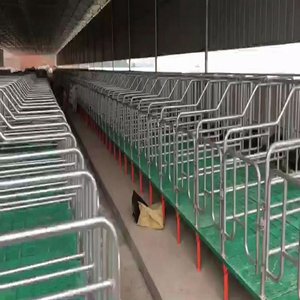 Mang thai Vườn Ươm <span class=keywords><strong>farrowing</strong></span> cai sữa lợn nái heo gian hàng Crate Pen lồng nhúng nóng mạ kẽm mạ kẽm hộp với PVC Bảng điều chỉnh - Product Image 4