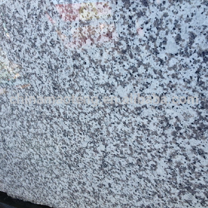 G439 Gạch Lát Sàn Đá Hoa Cương Trắng 60X60 Đá Hoa Cương Lớn Và Gạch Lát Sàn - Product Image 4