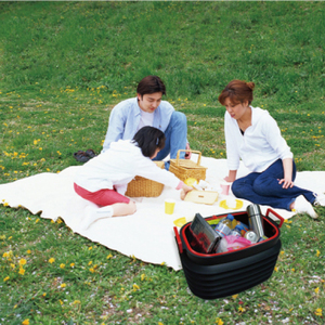 Nuovo Arrivo: <span class=keywords><strong>Organizer</strong></span> per Bagagliaio <span class=keywords><strong>Auto</strong></span> di Grande Capacità, Pieghevole in PP con Coperchio, Colore Personalizzabile, Contenitore Portaoggetti per <span class=keywords><strong>Auto</strong></span> - Product Image 6