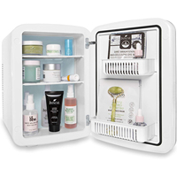 Mini-Frigo Portable 15L 20L 25L avec Porte en Verre pour Maison et Hôtel