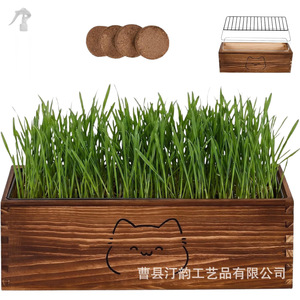 Cross-border wooden cat grass potted planter with mesh cover, coconut coir-grown cat grass <b>pot</b>, pet green <b>plant</b> ornament. - Product Image 5