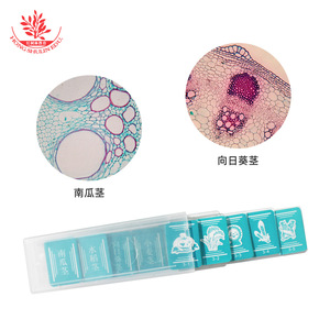 Nuevos y atractivos accesorios para microscopios biológicos: juego de 5 portamuestras de tallos de plantas para la observación infantil. - Product Image 2