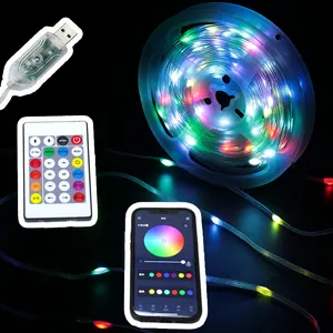 33ft 10M 20M 30M 100 Led Kerst Kerstfeest Cadeau Vakantie Decor Verlichting Zonne-Energie Koperdraad Led Sprookjeslicht