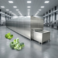 Machine à laver et à peler les pommes de terre, type brosse, pour le lavage et l'épluchage du gingembre, destinée à la transformation des fruits et légumes