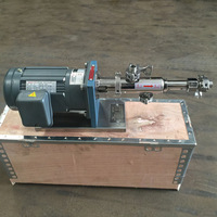 Petite pompe à cavité progressive en acier inoxydable (pompe à vis) RV0.43 pour le traitement des eaux usées, résistante à la corrosion, pompe basse pression