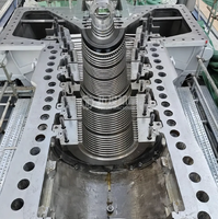 Joint d'étanchéité à vapeur de type labyrinthe pour arbre de rotor