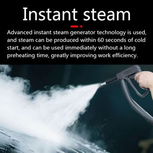 Nhà Máy Trực Tiếp Áp Lực Cao 220V Ngay Lập Tức Hơi Nước Rửa Xe Máy Mới Làm Sạch Hơi Bảo Vệ Sức Khỏe Nâng Cấp Vật Liệu Nhựa - Product Image 3
