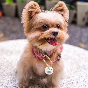 Cổ Điển 3Pcs Nhiệm Vụ Nặng Nề Nhỏ Trọng Lượng Nhẹ Kim Loại Keyring Hình Bầu Dục Mùa Xuân Vòng Clip Cho Carabiner Móc Khóa Ba Lô Ví An Toàn - Product Image 5