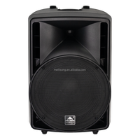 Système audio en direct professionnel OEM Nouveau 15 pouces en plastique actif gamme complète DSP PA Enceinte Boîte 4 canaux