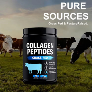 Fabricant de poudre de peptides hydrolysés purs de haute qualité OEM ODM, peptides de <span class=keywords><strong>collagène</strong></span> bovin pour <span class=keywords><strong>Amazon</strong></span> - Product Image 5