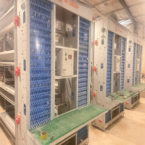 Neues Design Voll automatische 4-stufige Schicht-Hühner zucht ausrüstung - Product Image 1