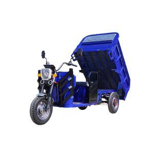 รถบรรทุก<span class=keywords><strong>สามล้อ</strong></span>3ล้อสำหรับกระบะเปิดอัตโนมัติ1000W จากยุโรปสหรัฐอเมริกา - Product Image 3