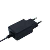Adaptateur secteur international Europe Afrique du Sud 5V2A 5V 2A certifié CQC FCC CE CB UL INMETRO RoHS REACH avec câble Type-C