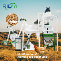 RICHI Ligne de fabrication de granulés d'aliments pour volailles de 1000 kg de capacité, ligne personnalisée pour bovins et poulets, machine de fabrication d'aliments pour animaux