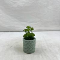 Mini-plante artificielle d'intérieur : Cactus et Aloès en pot, haute simulation, écologique, pour décorations de mariage, Thanksgiving, Nouvel An - En stock