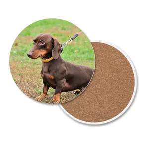 Sous-verre en céramique herbe Dachshund, dos en liège absorbant pour chien, sous-verre de boisson personnalisé UV, ensemble de sous-verres en céramique vierge