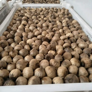 <span class=keywords><strong>Ail</strong></span> <span class=keywords><strong>noir</strong></span> fermenté vieilli à bulbe unique, prix usine de gros, approvisionnement en vrac, fabricant d'aliments sains, export 2026 - Product Image 3