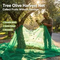 Filet de Récolte d'Olives en HDPE Vierge 85 g/m² pour la Collecte de Fruits – Italie, Grèce, Tunisie