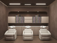 Salon Massage Électrique Shampooing Lit Shampooing Chaise Cheveux Lavage Chaise Coiffure Dos Lavage