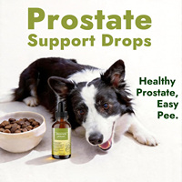 Complément Liquide pour Prostate Canine – Gouttes Urinaires pour Chiens Seniors – Soutien Naturel de la Vessie et des Reins à base de Palmier Nain et Graine de Citrouille – 60ml – OEM ODM