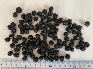 <span class=keywords><strong>Venta</strong></span> Directa de Fábrica de Arándanos Deshidratados de Alta Calidad, Productos Deshidratados de Arándanos Listos para Comer y Arándanos Deshidratados para Hornear - Product Image 5