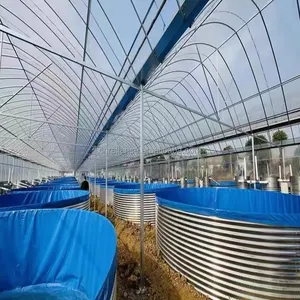 Lagoas De Peixe De Aço Inoxidável Arowana / Betta Fish Farming Tanques Piscina De Peixes Ao Ar Livre Para Venda