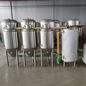 SUS304 brewtech homebrew 50L 100L mini brew for recipe test craft beer brewery equipment