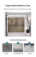 Industrial/Comercial 100kg 220P Big Ice Tube Maker 50kg Capacidad de almacenamiento Emerson Fusheng Bristol Compresores Motor Core