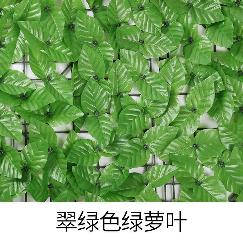 Feuilles de pothos vertes luxuriantes