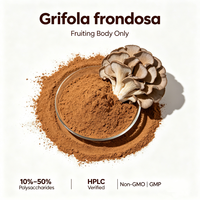 Fournisseur d'extrait de poudre de champignon Maitake |   Poudre d'extrait de Grifola Frondosa |   10%-50% Polysaccharides