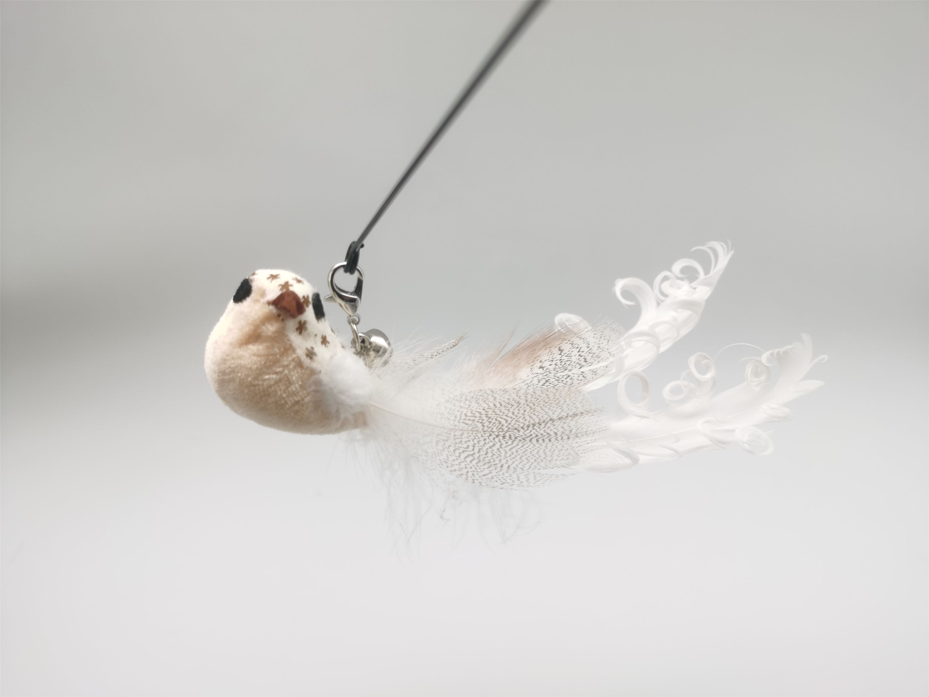 oiseau hibiscus-blanc