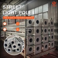 Poste de Luz Galvanizado Curvo Personalizado SLOER, Brazos Dobles o Simples, 4m 5m 6m 7m 8m 9m 10m 11m 12m