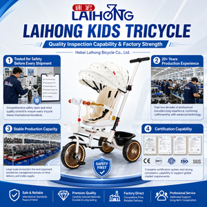 <strong>Baby</strong> Lightweight <strong>Baby</strong> <strong>Doll</strong> Luxury Stroller <strong>Car</strong> <strong>Seat</strong> Lightweight Twin <strong>Baby</strong> Stroller with <strong>Car</strong> <strong>Seat</strong> Two Way Operation Stroller - Product Image 6