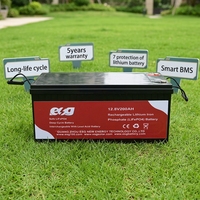 Batterie de stockage d'énergie ESG 12,8V 50Ah 100Ah 150Ah 200Ah 250Ah 300Ah BMS Lifepo4 Batterie solaire au lithium BMS