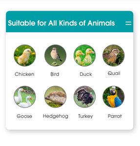 Piastre riscaldanti per cova <span class=keywords><strong>di</strong></span> <span class=keywords><strong>pulcini</strong></span> <span class=keywords><strong>di</strong></span> <span class=keywords><strong>quaglia</strong></span> con angolo regolabile in altezza per 20 <span class=keywords><strong>pulcini</strong></span> - Product Image 6