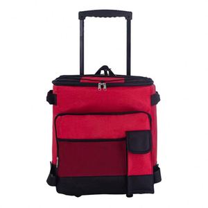 Sac isotherme pliable portable de grande capacité 15L avec poignée télescopique, en polyester, pour pique-nique en plein air, fermeture éclair, glacière - Product Image 2