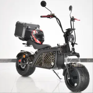 Yeni elektrikli scooter 2 tekerlekli yağ lastik 3000W güçlü hızlı elektrikli motosiklet serin E bisiklet çelik çerçeve Citycoco EEC COC erkekler için