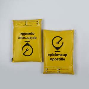 Sac d'expédition en polyéthylène LDPE, imperméable, sérigraphie, fabricant de sacs express en plastique pour l'expédition - Product Image 1