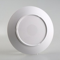 Assiette plate en plastique de 10 pouces avec motif floral, imprimé décalcomanie, durable, peinte à la main, design mignon, pour aliments