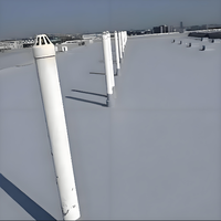Matériau de revêtement imperméable en polyurée appliqué à la main Solution efficace pour imperméabiliser la résistance à la corrosion et à l'humidité
