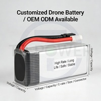 TPENERGY 6S 10C 22.2V 22000mAh FPV İHA Uçuş EV Lityum Katı Hal Drone Pil Paketi
