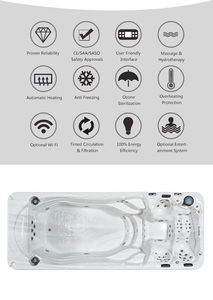 Nuevo diseño de lujo poderoso spa Tiempo EE. UU. De masaje - Product Image 4